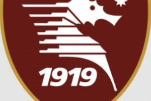 还能回来吗？萨勒尼塔纳一年内两次降级，从意甲降到意丙